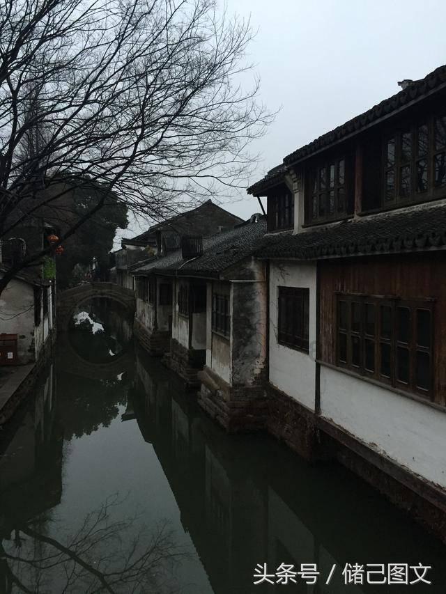 浙江交通违章网